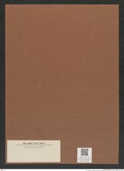 Diatomeae indet. Zeichnungen Sammlung Grunow Mappe 03610 (Herbarium_W_Grunow_drawings_Folder_03610)